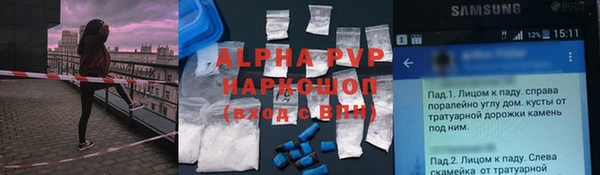 СК Абинск