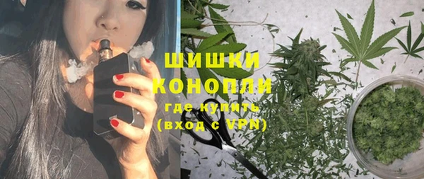 ГАЛЛЮЦИНОГЕННЫЕ ГРИБЫ Осташков
