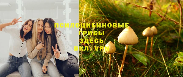 СК Абинск