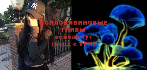 соль ск Остров