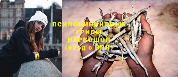 СК Абинск