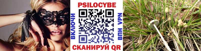 блэк спрут онион  Лосино-Петровский  Галлюциногенные грибы мицелий 