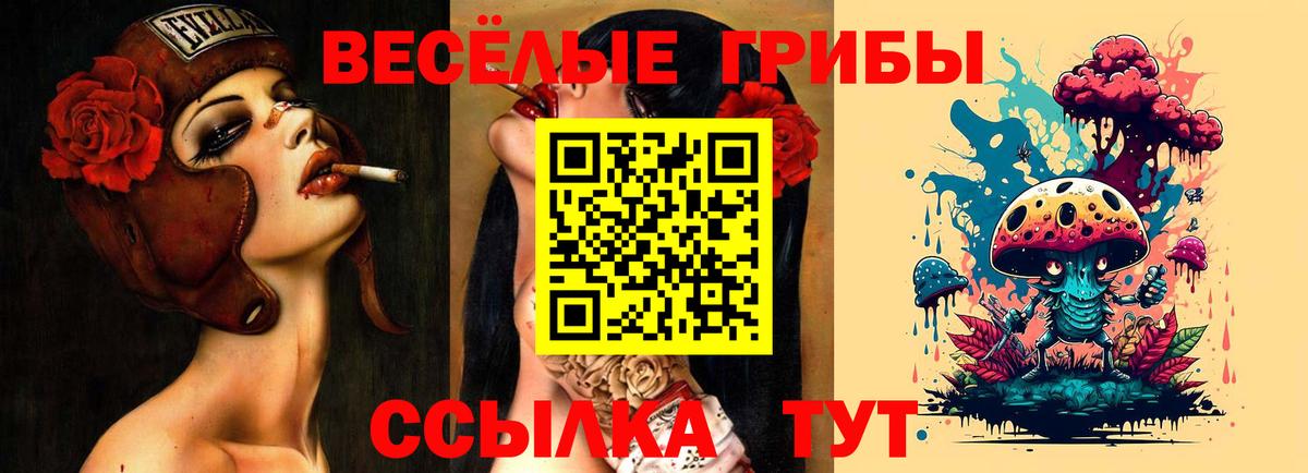 Псилоцибиновые грибы мицелий Лосино-Петровский
