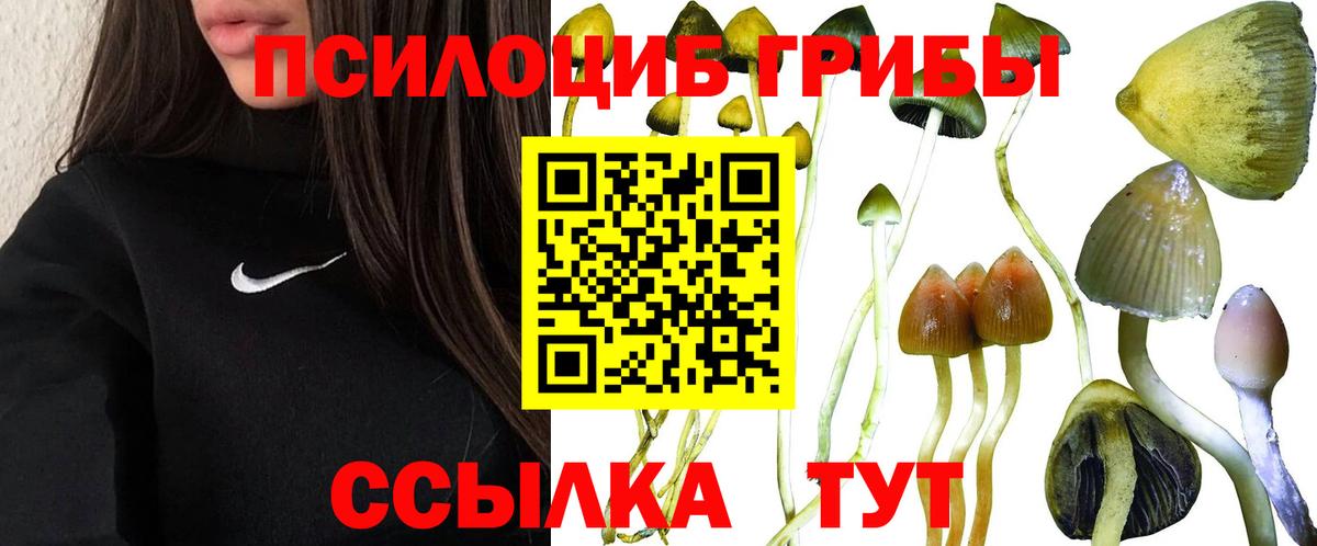 Галлюциногенные грибы ЛСД  Вход с VPN  Лосино-Петровский 
